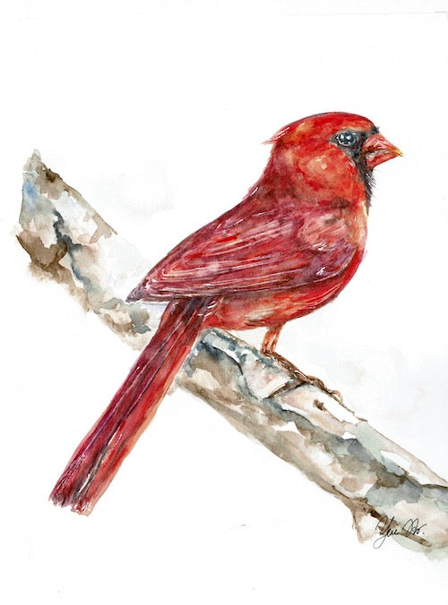 Cardinal" Abtract watercolor bird art prints
