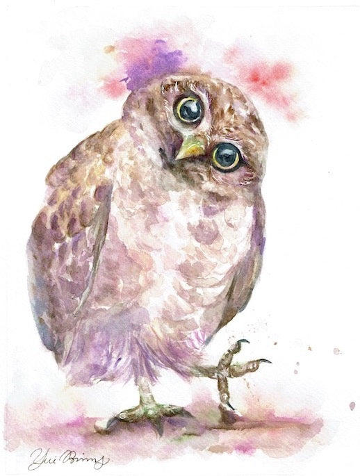 " Whaat? " Abtract owl watercolor bird art prints