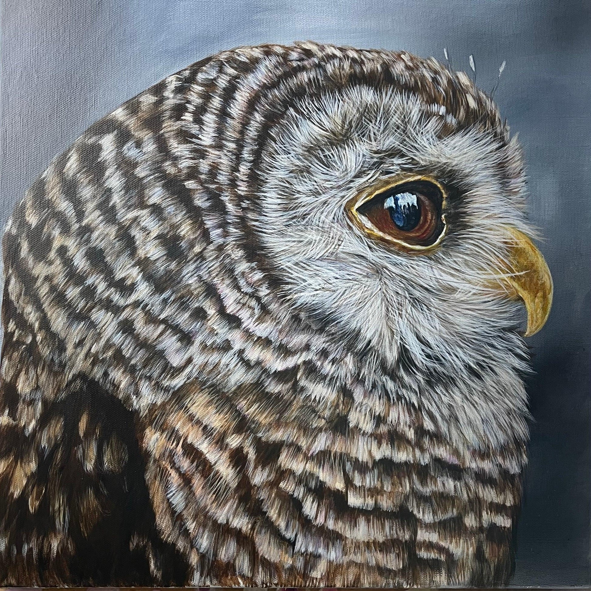 Owl portrait - Essence of the art by Yui & Bow